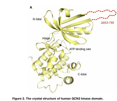 fig2