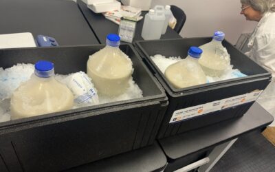 Pushing the Boundaries of Cell Disruption – HFR System Trial