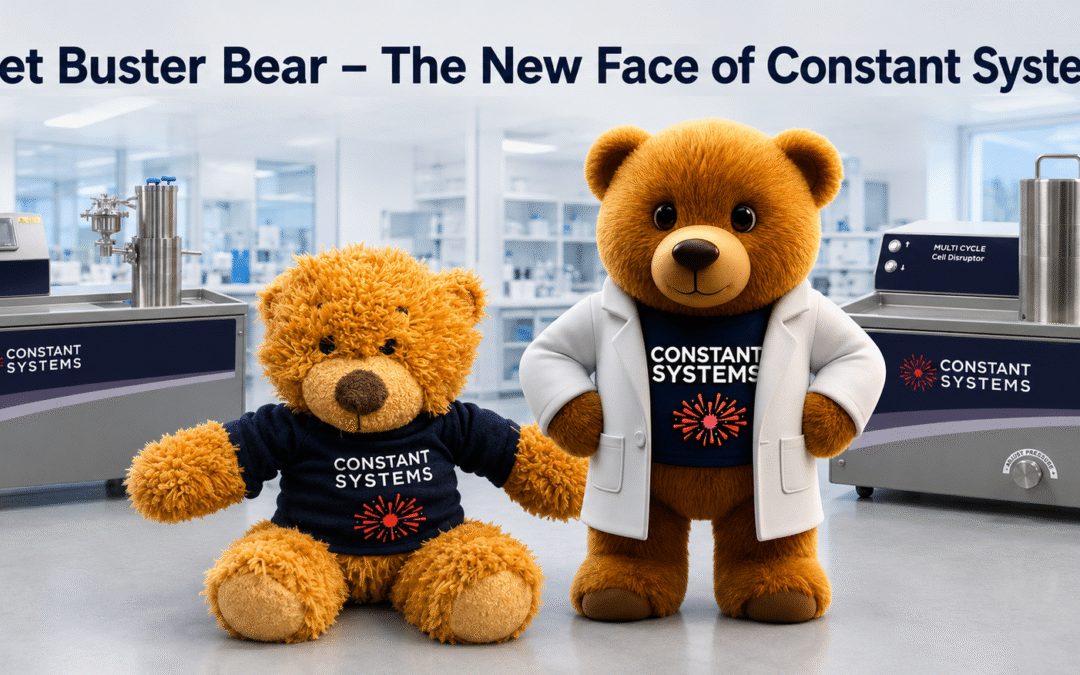 Meet Buster Bear – The New Face of Constant Systems
